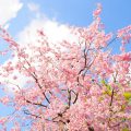 春は体調が崩れやすい。